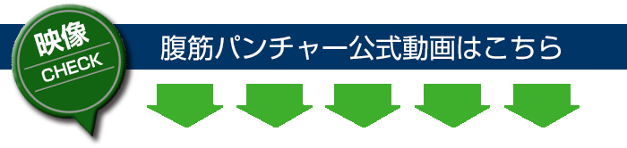 動画をご覧ください