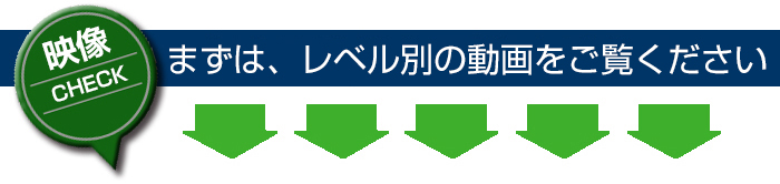 動画をご覧ください