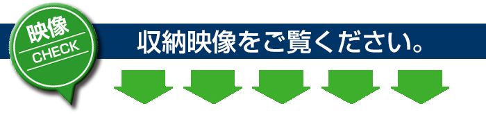 映像をチェック!