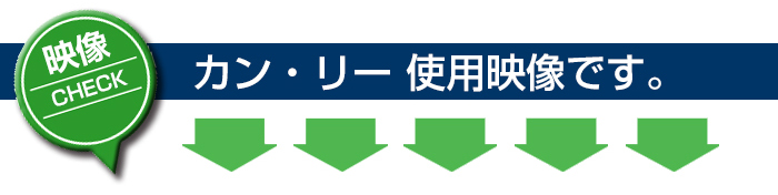 カン・リーの愛用コメント動画